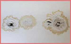 Coral Springs Restoration Company Coral Springs, FL 954-354-2061 Coral Springs Restoration Company Coral Springs, FL 954-354-2061 - content-water-leaks