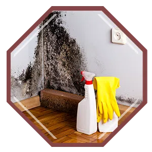 Coral Springs Restoration Company, Coral Springs, FL 954-354-2061